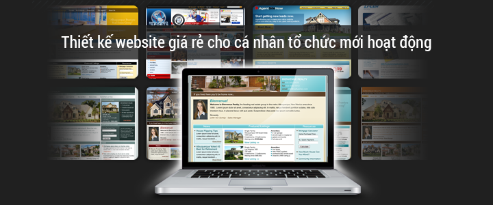 thiet ke website gia re cho ca nhan to chuc moi hoat dong